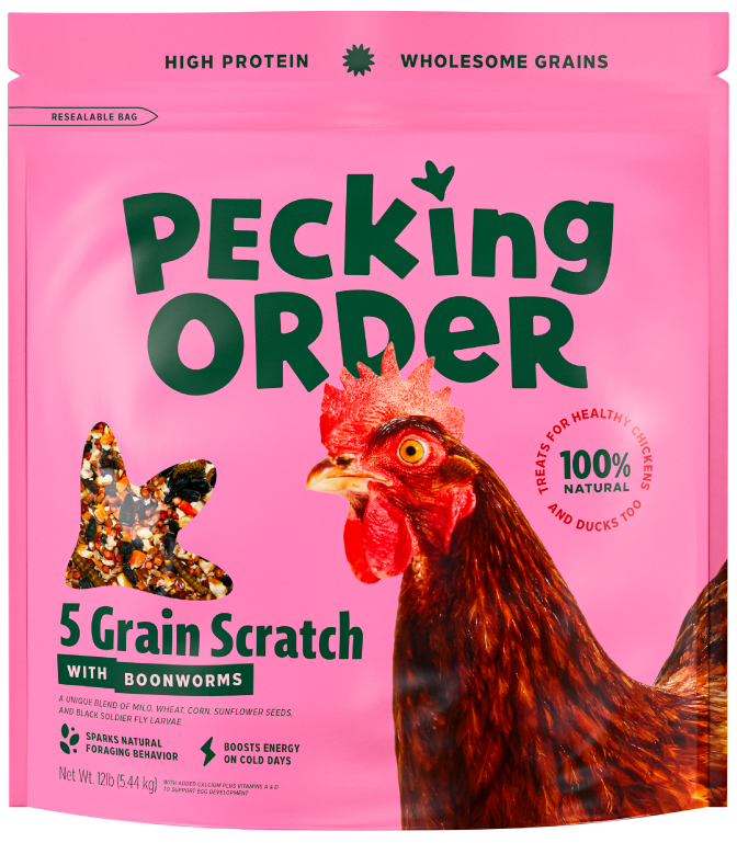 5 Grain Scratch