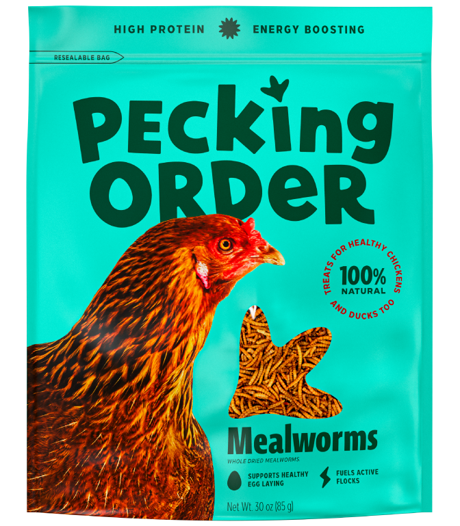 Mealworms