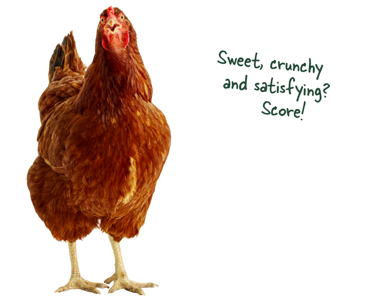 Easter Egger chicken names Artemis saying 'All that from one seed? Shell yeah.'