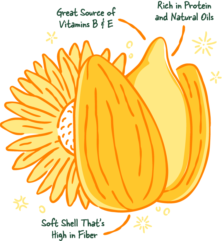 sunflower seeds packing illustration