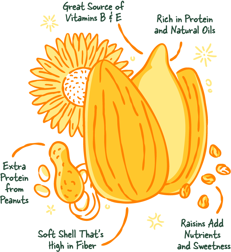 sunflower blend packing illustration